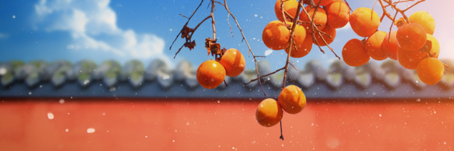 霜降 | 寒霜冬將至，補(bǔ)陽(yáng)須及時(shí)