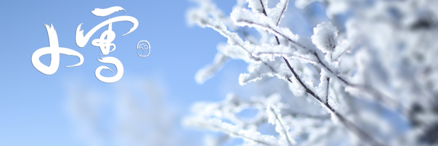 小雪丨雪落天地寒，愿君多珍重