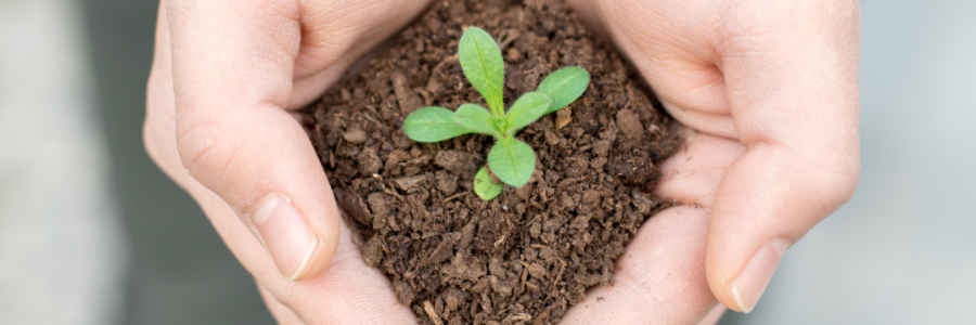 火運(yùn)不及的癸卯年，亟需補(bǔ)火護(hù)陽！