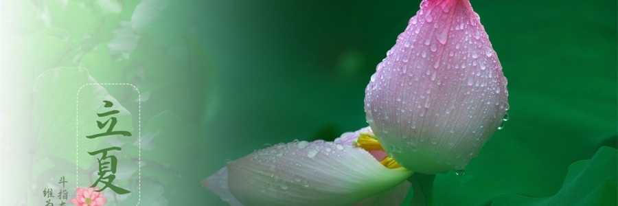 立夏 | 滿園芳立，夏色初染