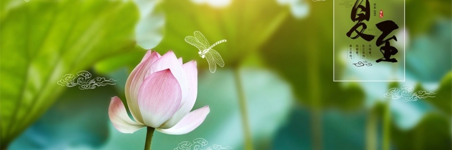 夏至 | 陽極陰生，美好日長