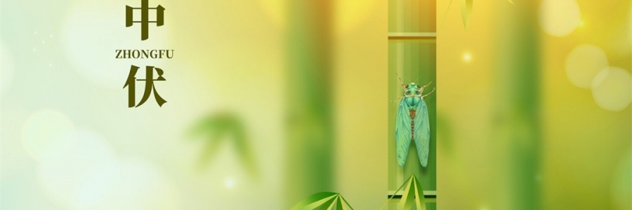 不想越扎越深？ 中伏拔病根，不做病床人！