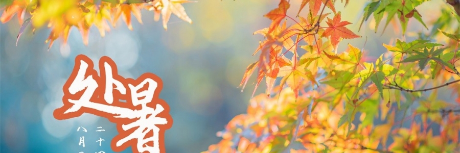 處暑 | 養(yǎng)生三不做，一年病不沾