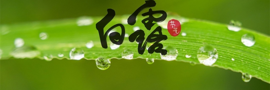 白露 | 天涼身勿露，灸火暖秋色