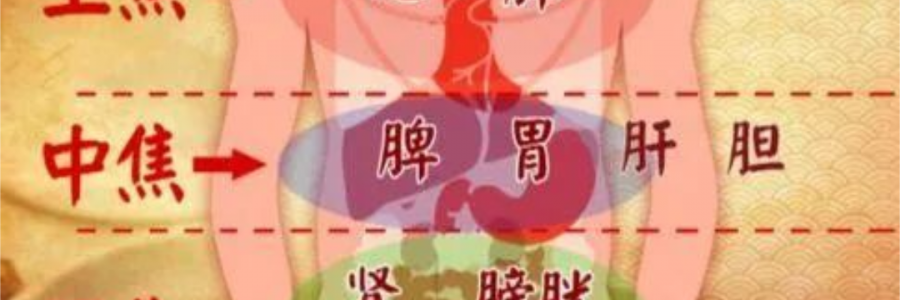 突破600億播放量的《羅剎海市》，竟然還暗藏中醫(yī)奧秘？