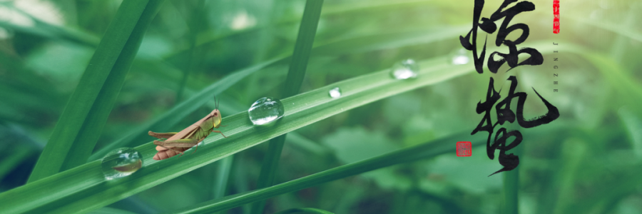 驚蟄丨蓄勢(shì)而蟄，應(yīng)時(shí)而驚