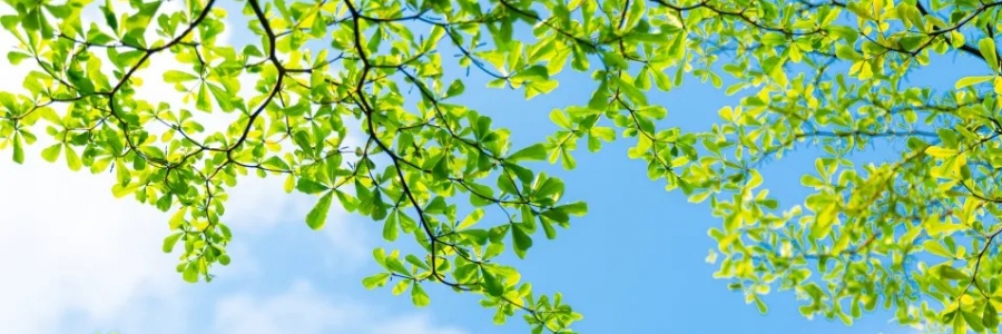 警告：夏天千萬(wàn)不能做的5件事！快來(lái)看看~