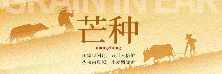 芒種丨“芒”有所獲，“種”有所得
