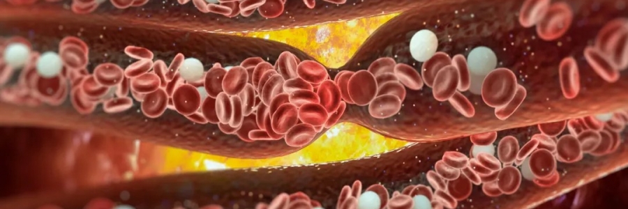 經(jīng)絡(luò)通，百病消！身體經(jīng)絡(luò)通了是什么感覺？