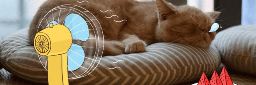 越睡越困的夏天，一個穴位趕走疲倦……