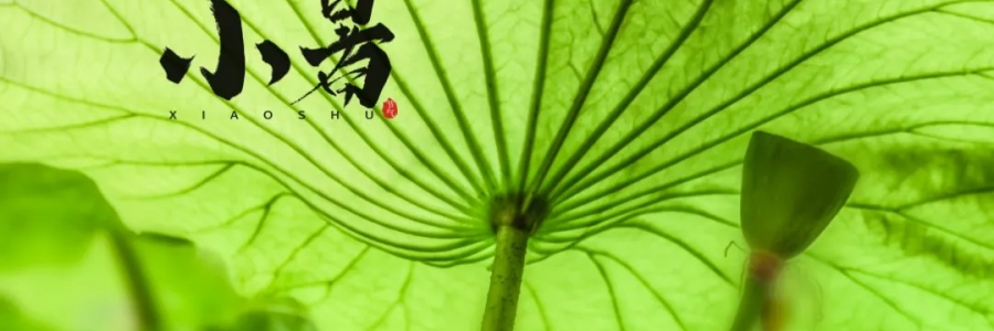小暑丨避暑養(yǎng)心，準備入伏