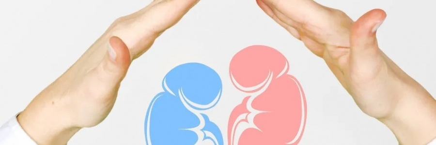 兩個(gè)人體的“長(zhǎng)壽穴”，每天揉一揉，健康又長(zhǎng)壽