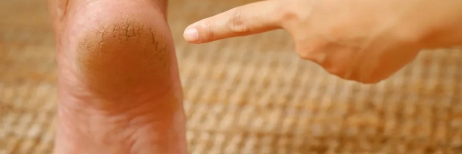 每天跺跺腳，從腳養(yǎng)到頭，越跺越年輕！