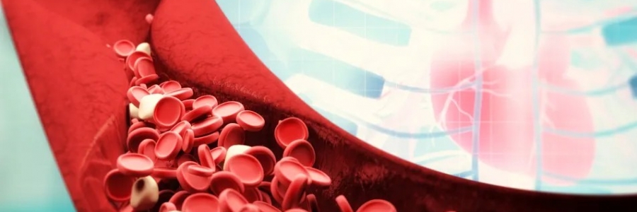 萬(wàn)病皆生于瘀，愛(ài)生病的人小心這三種“瘀毒”