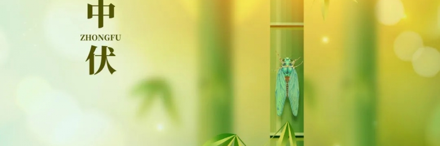 三伏灸丨破三冰，泄三濁，清五毒，祛六淫！