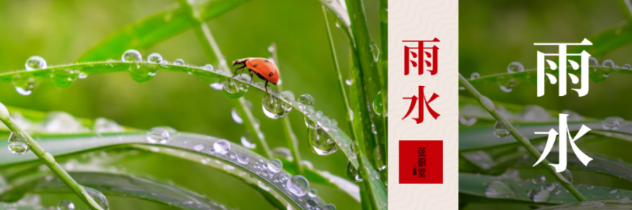 雨水 | 寒濕風(fēng)邪入，艾灸來相助