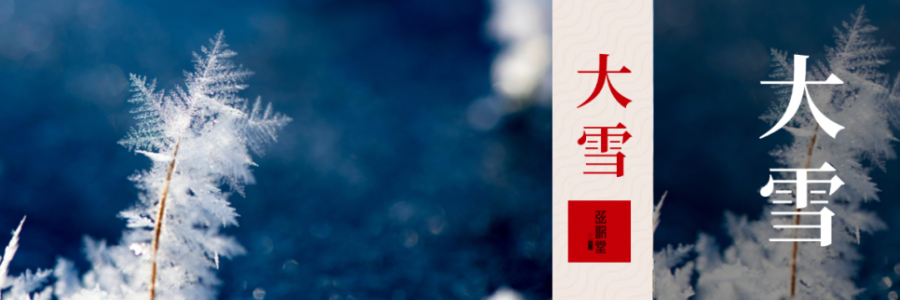 大雪 | 雨雪紛飛，健康不冬眠