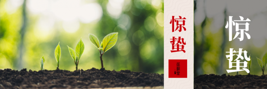 驚蟄 | 驚起春潮，蟄動(dòng)萬(wàn)物