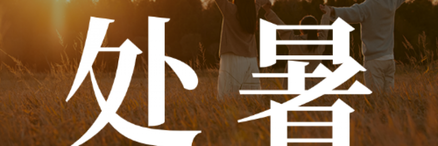 處暑｜培元固本，斂氣入秋